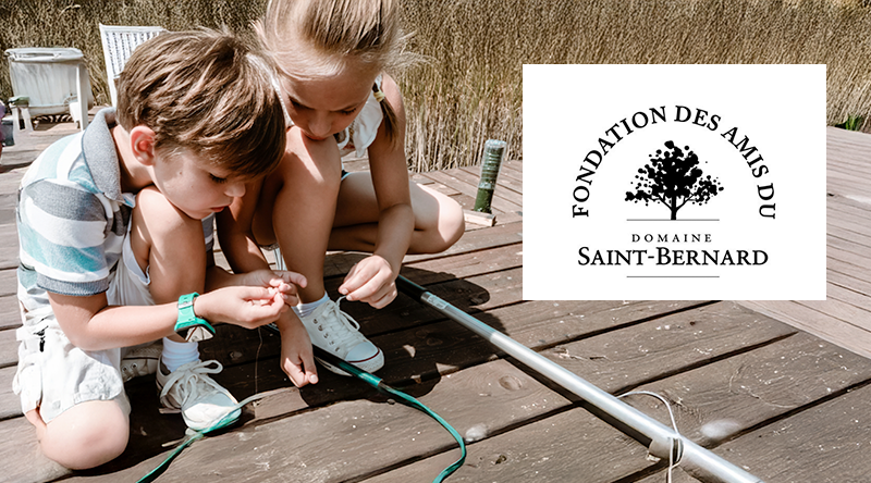 Fondation des Amis du Domaine Saint-Bernard Fondation des Amis du Domaine Saint Bernard